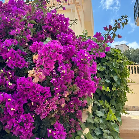 2 Bedroom Duplex I Appartement