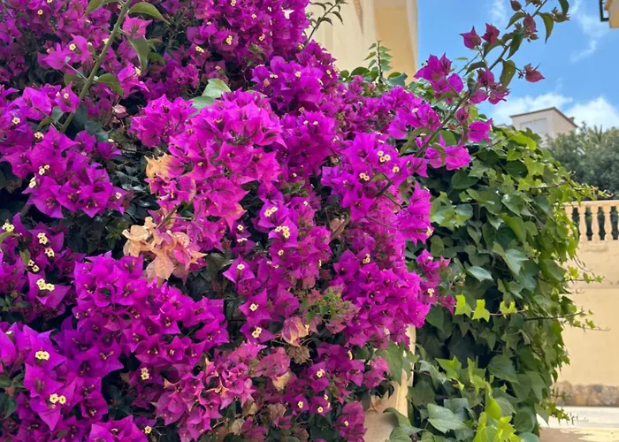 2 Bedroom Duplex I Apartament